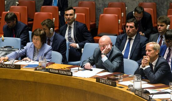 Заседание Совета безопасности ООН по Сирии