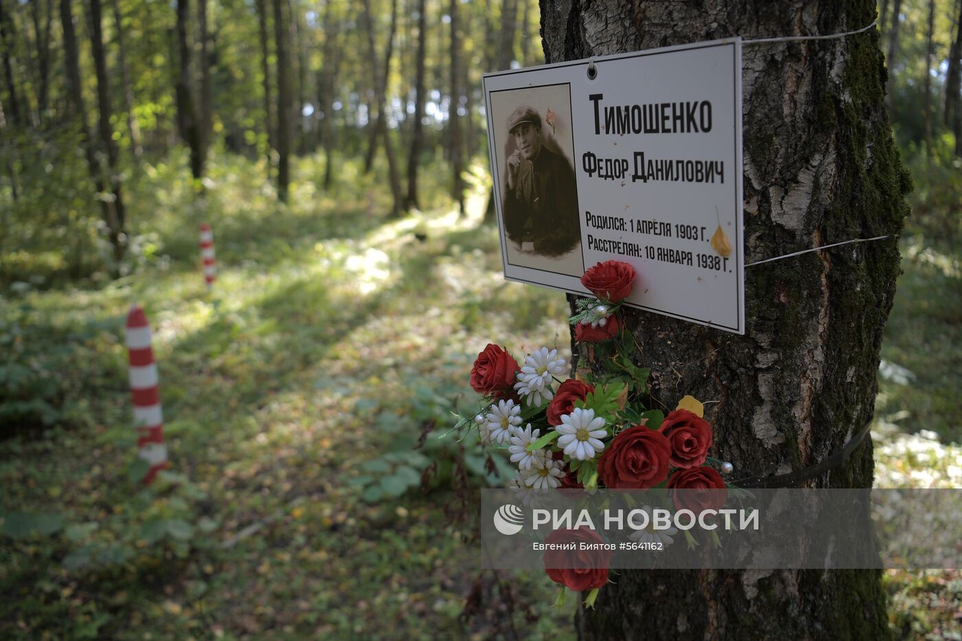 Полигон НКВД "Коммунарка"