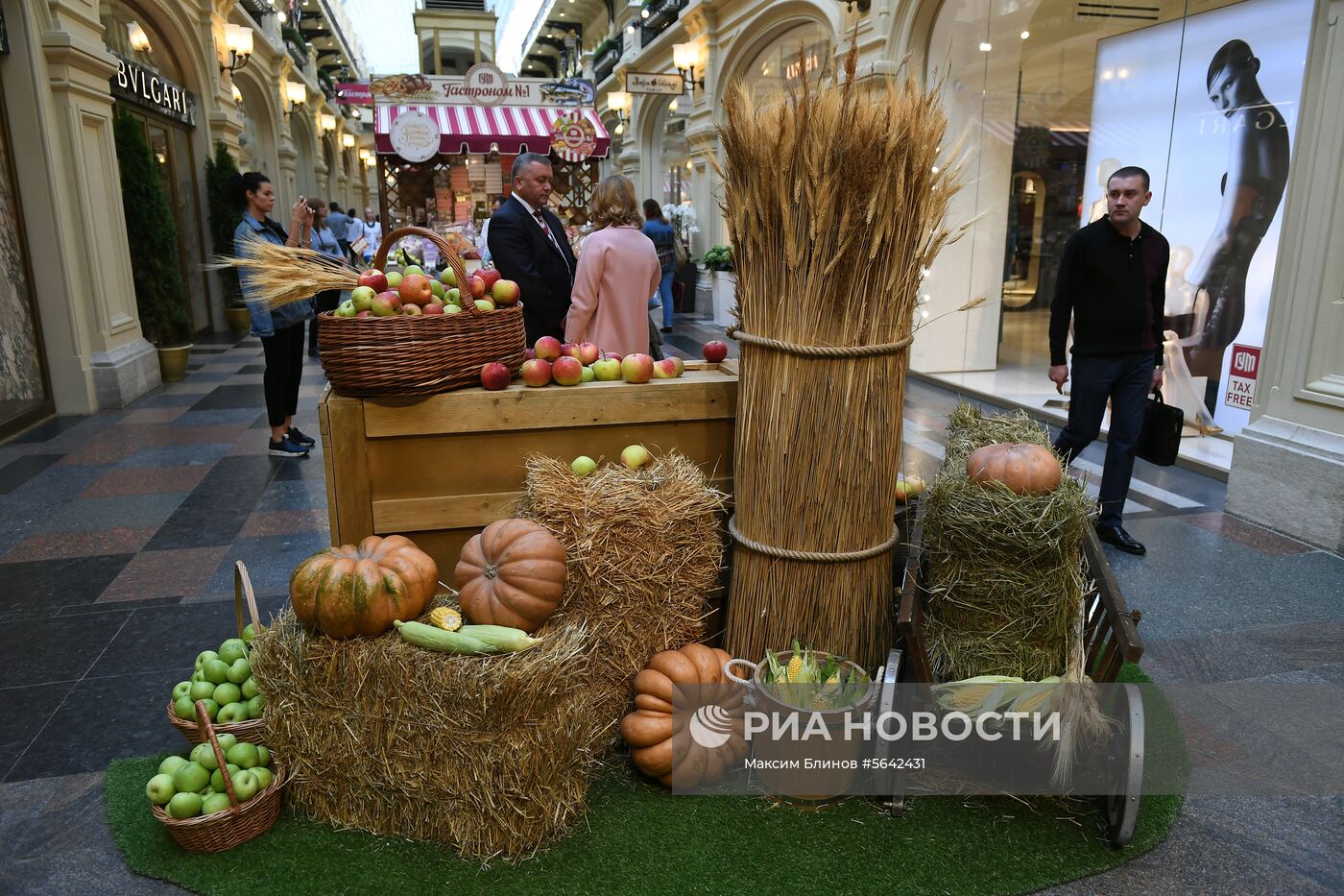 Выставка достижений сельского хозяйства в ГУМе