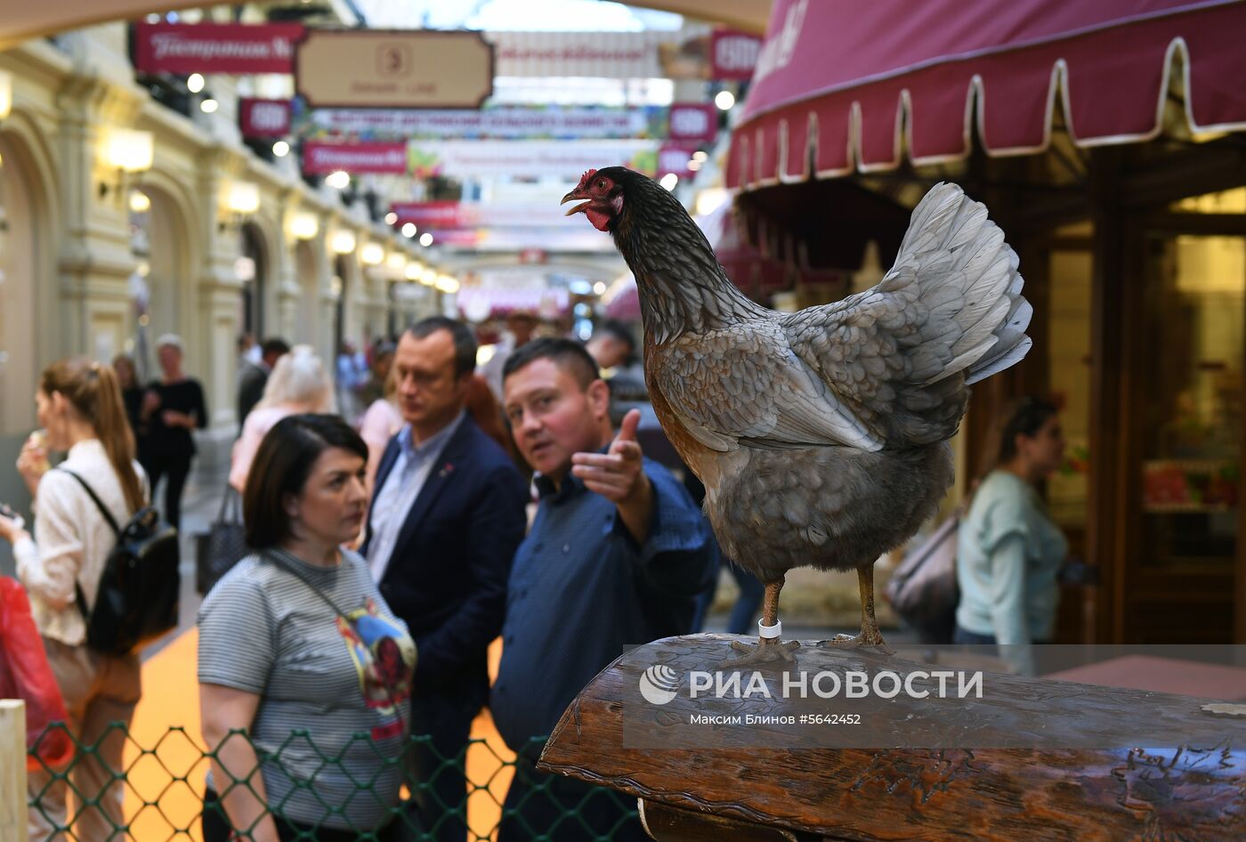 Выставка достижений сельского хозяйства в ГУМе