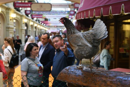 Выставка достижений сельского хозяйства в ГУМе