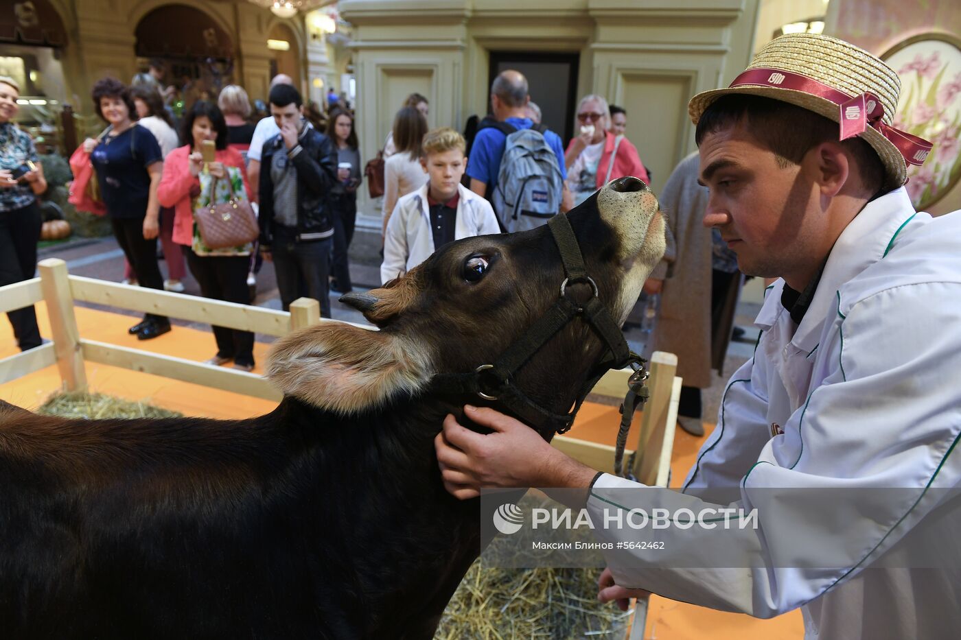 Выставка достижений сельского хозяйства в ГУМе