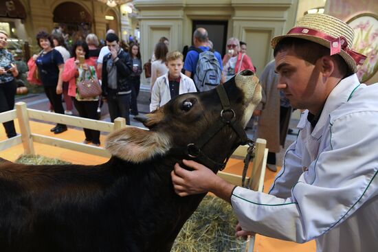 Выставка достижений сельского хозяйства в ГУМе