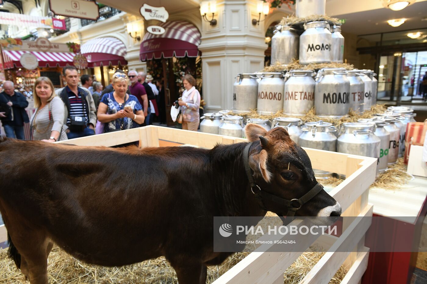 Выставка достижений сельского хозяйства в ГУМе