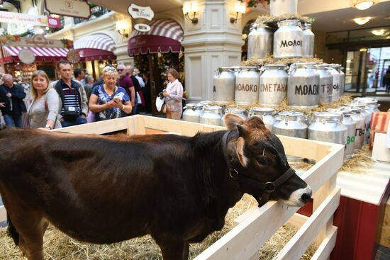 Выставка достижений сельского хозяйства в ГУМе