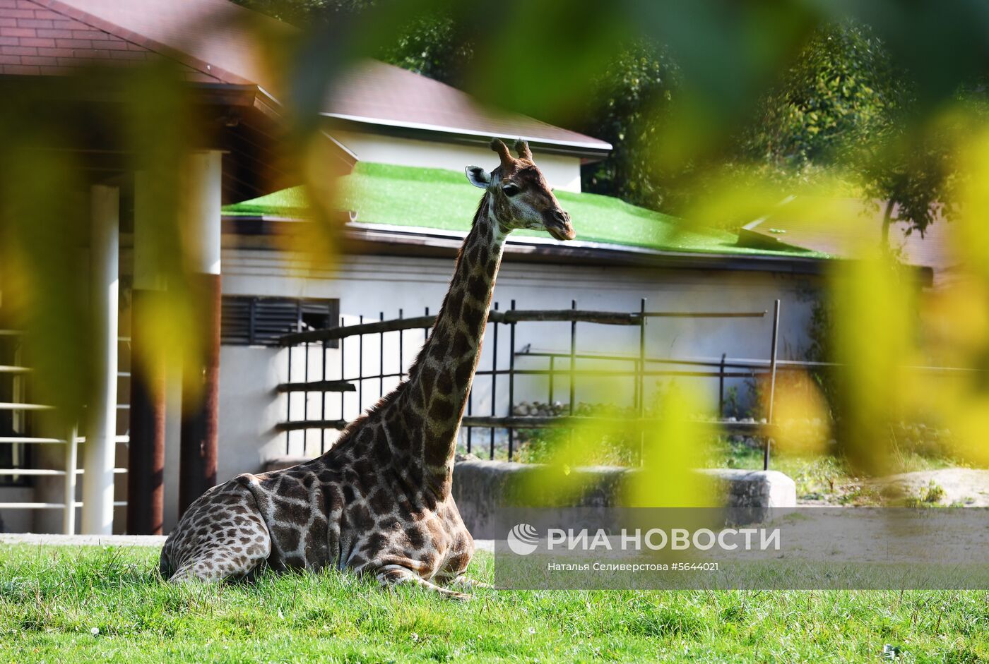 Обитатели Московского зоопарка