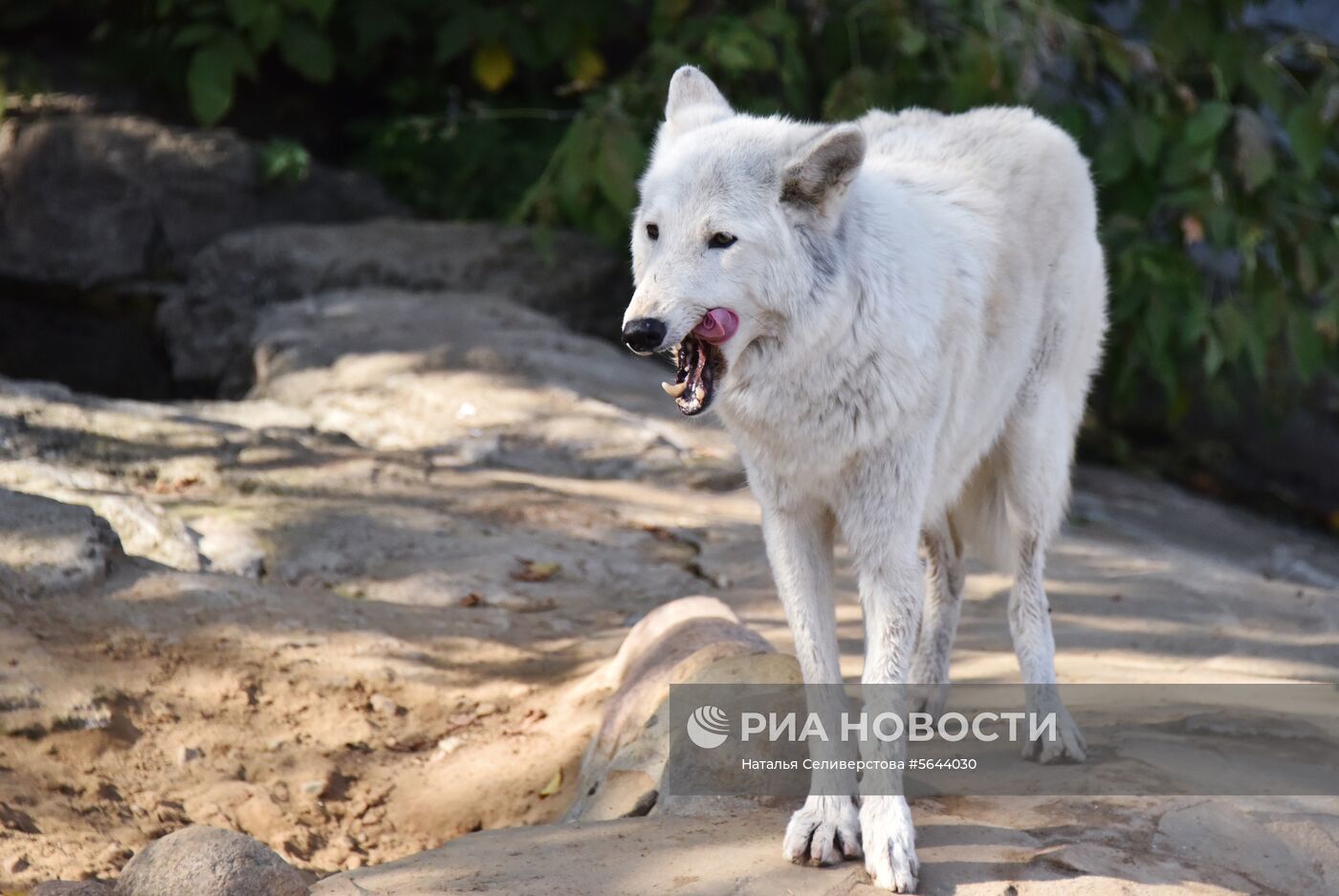 Обитатели Московского зоопарка