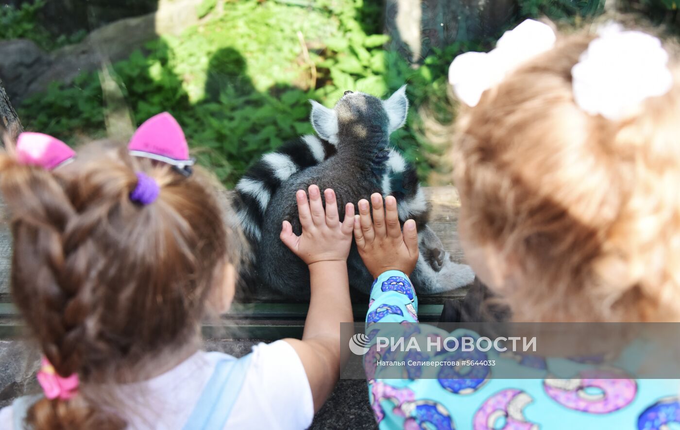 Обитатели Московского зоопарка