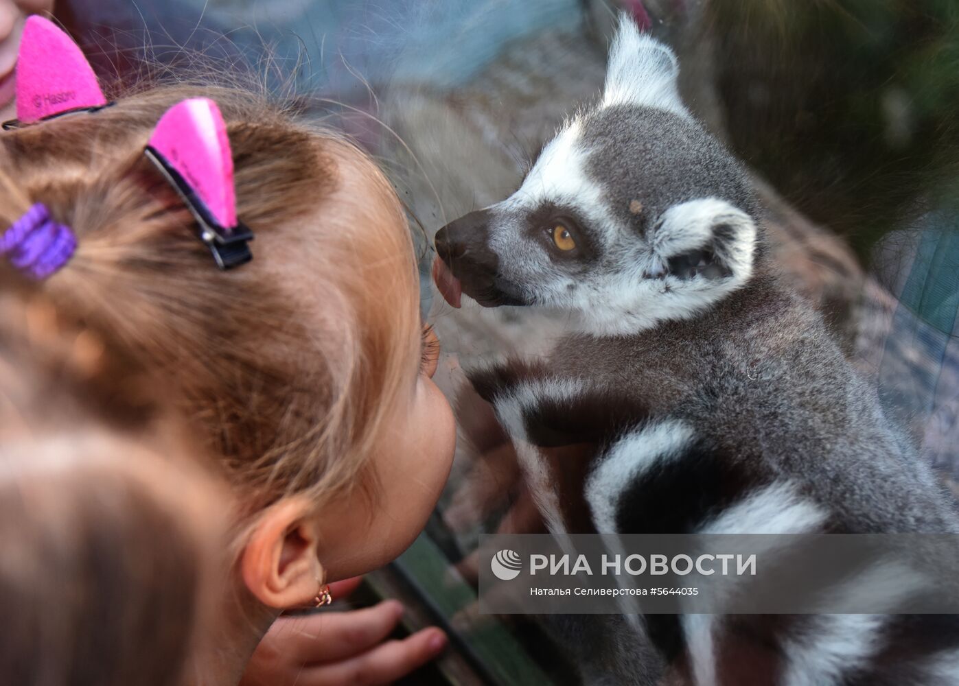 Обитатели Московского зоопарка
