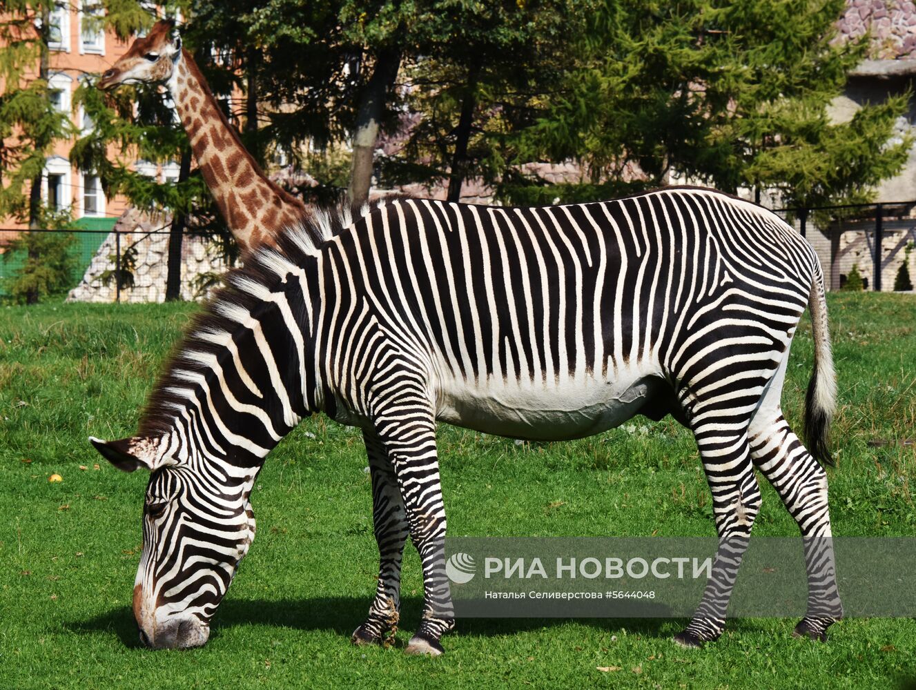 Обитатели Московского зоопарка