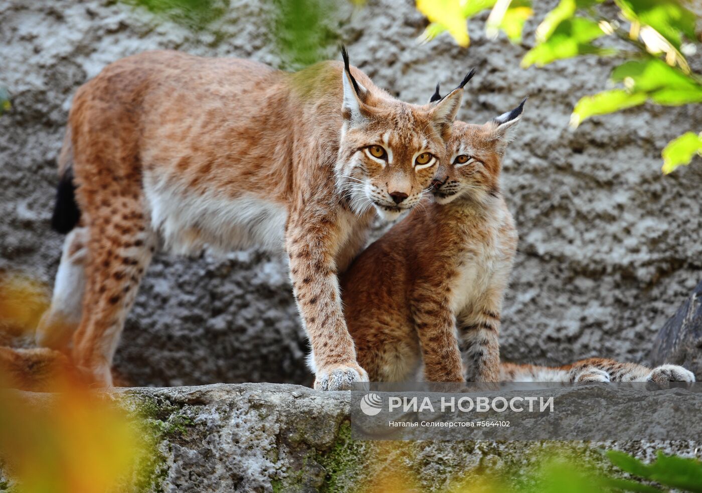 Обитатели Московского зоопарка