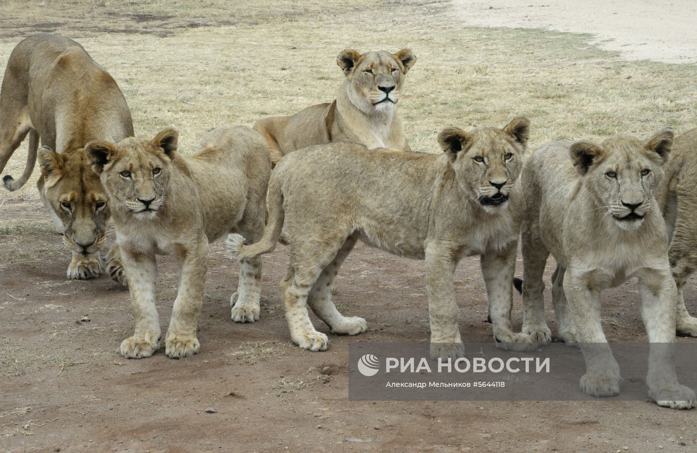 Страны мира. ЮАР
