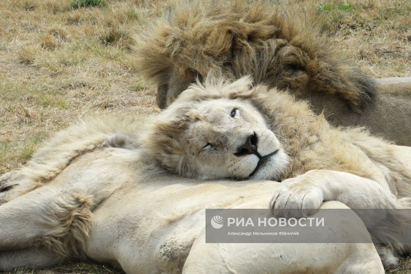 Страны мира. ЮАР