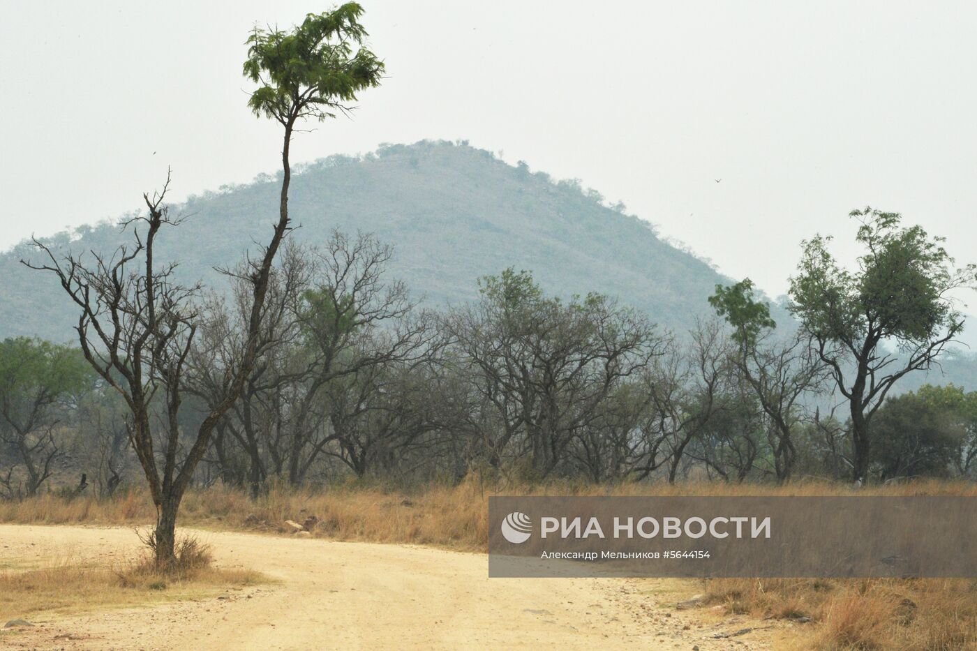 Страны мира. ЮАР