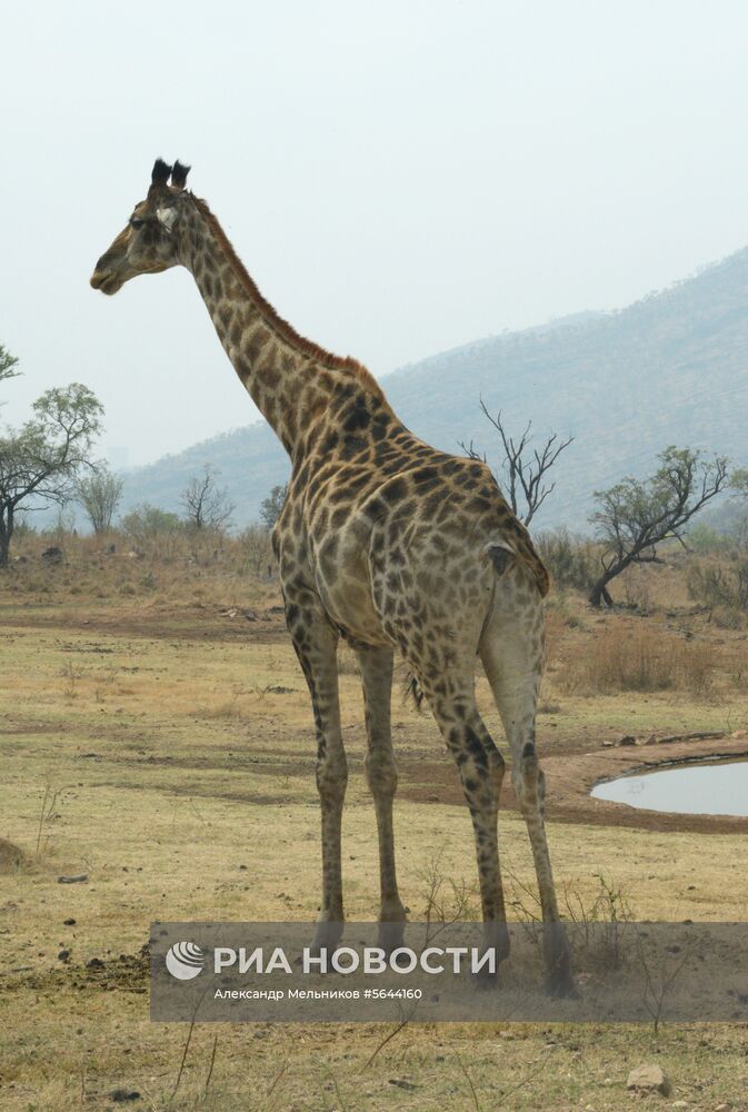 Страны мира. ЮАР