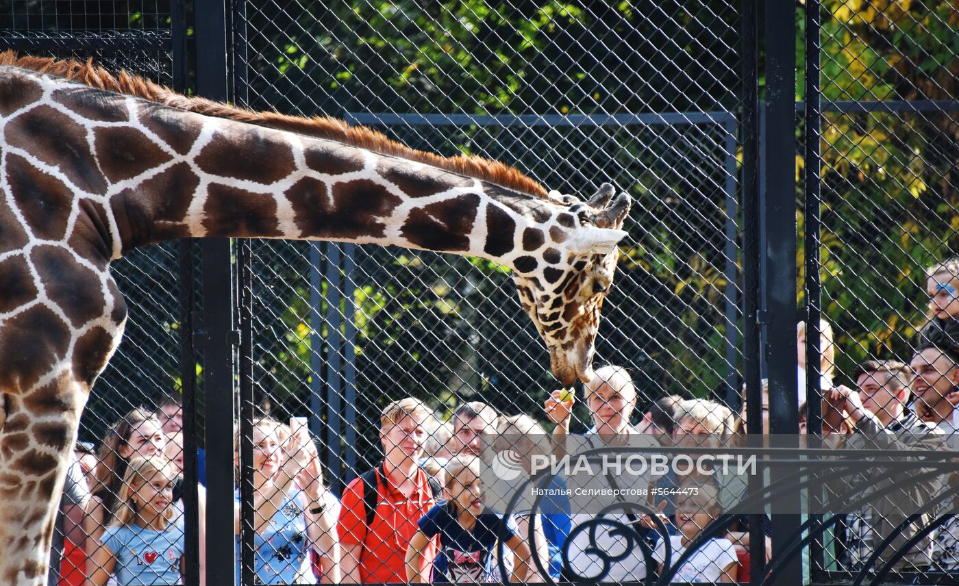 Обитатели Московского зоопарка