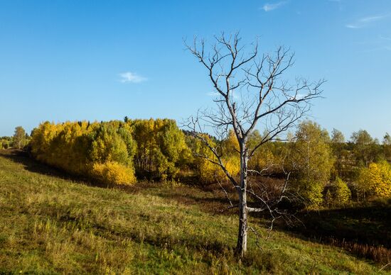 Регионы России. Пермский край