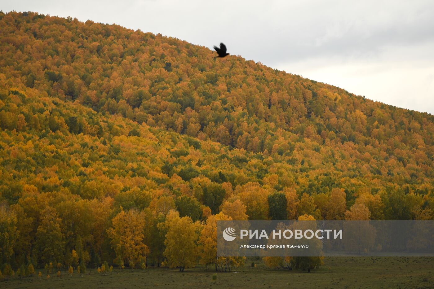 Виды Сибири 