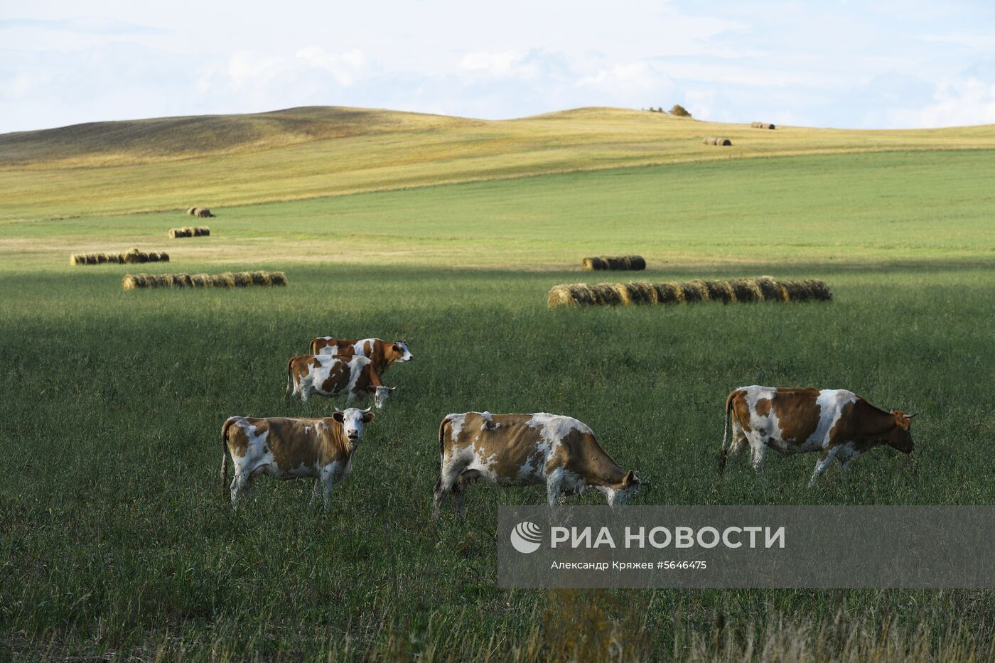 Виды Сибири