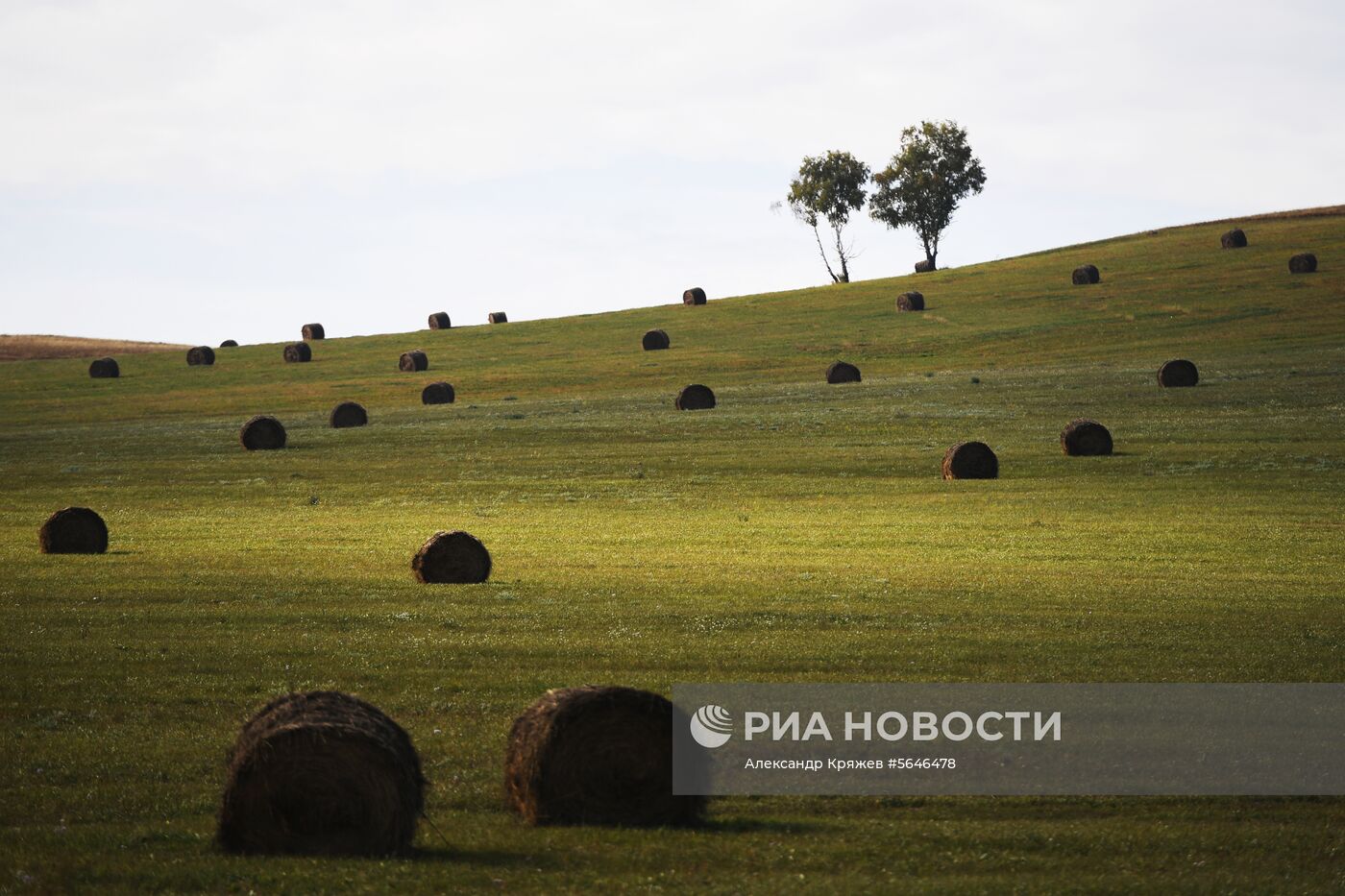 Виды Сибири