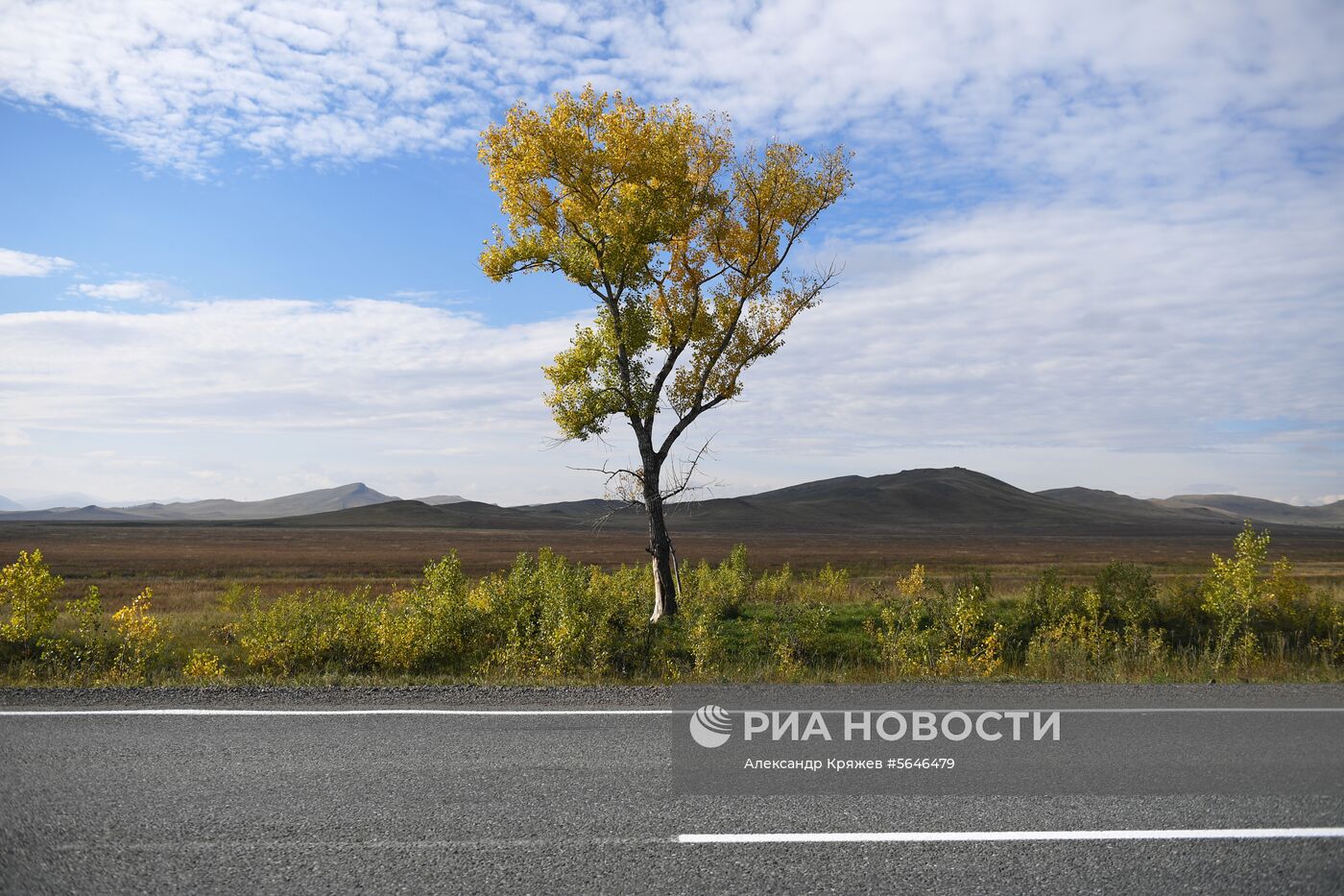 Виды Сибири