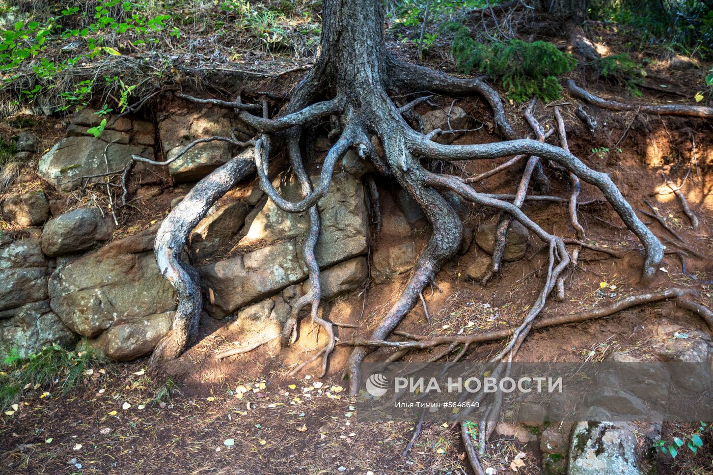 Осень на острове Валаам