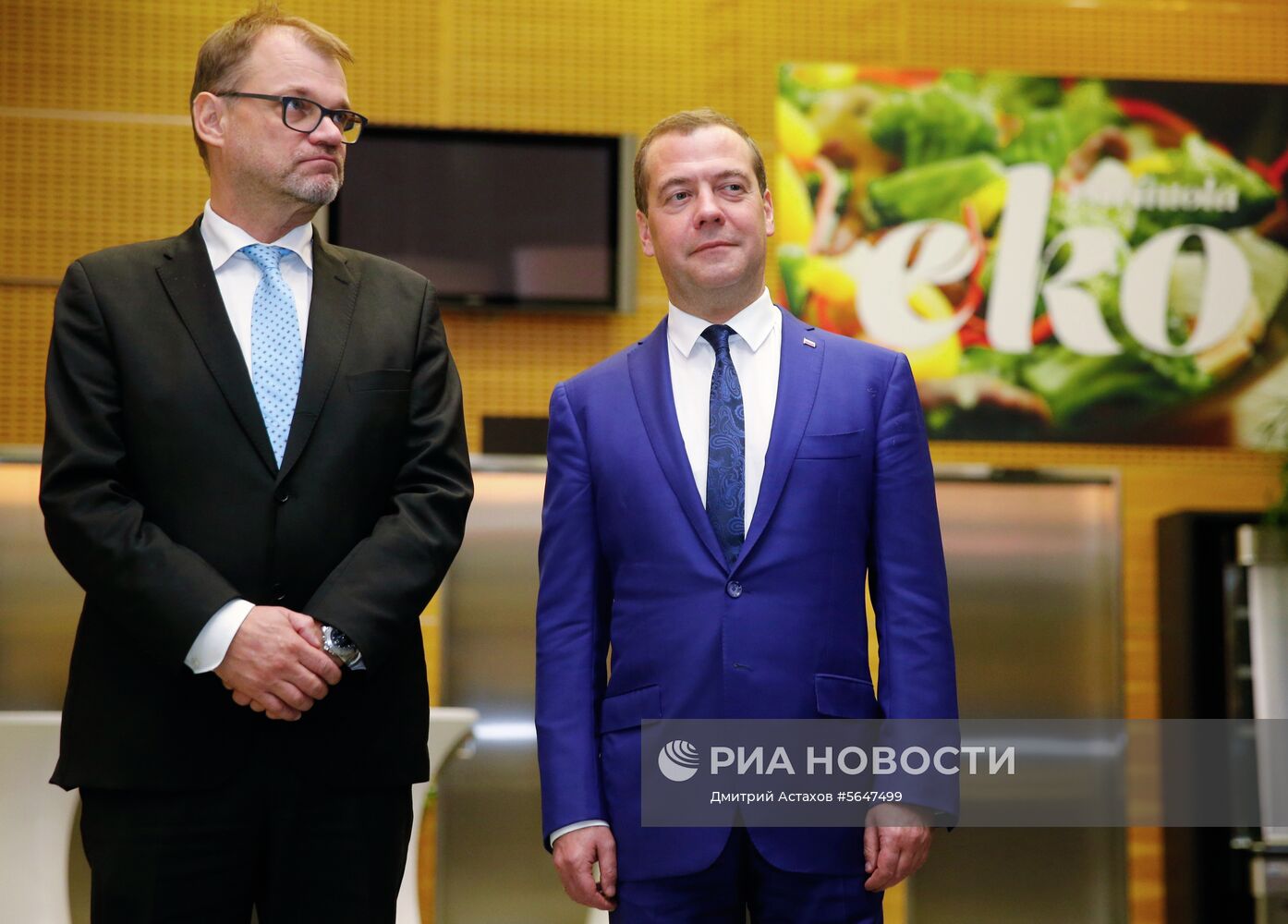 Рабочий визит премьер-министра РФ Д. Медведева в Финляндию