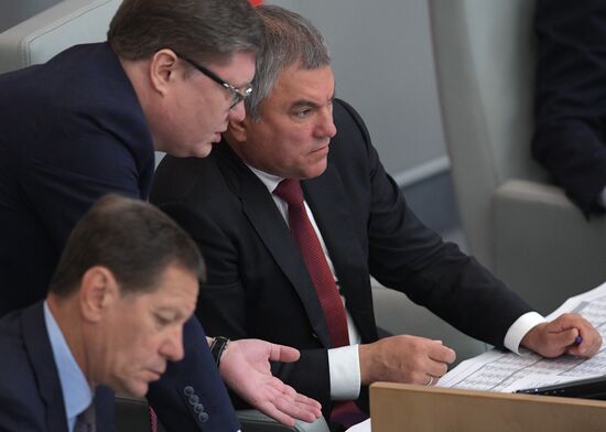 Пленарное заседание Госдумы РФ  