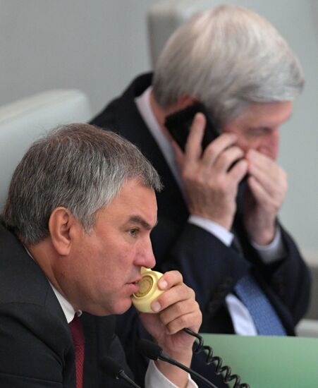 Пленарное заседание Госдумы РФ  