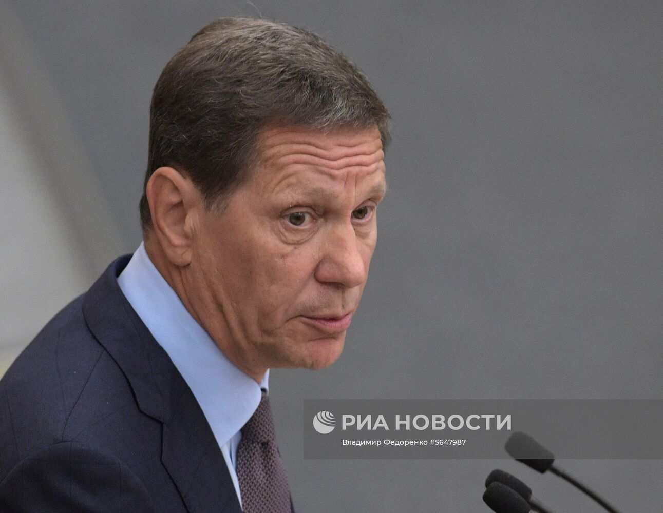 Пленарное заседание Госдумы РФ  