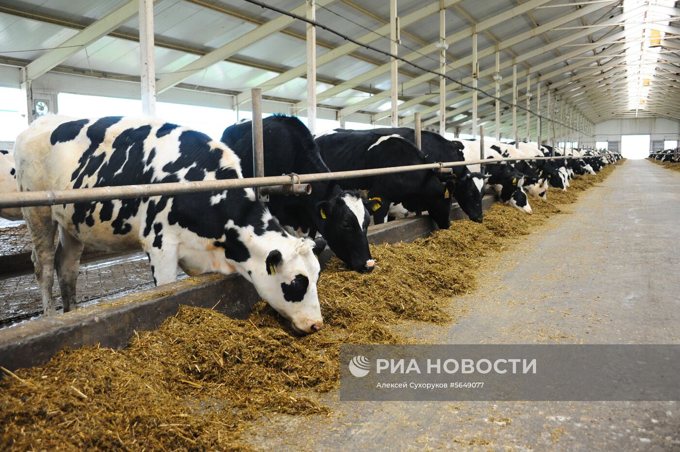 Животноводческий комплекс в Тамбовской области