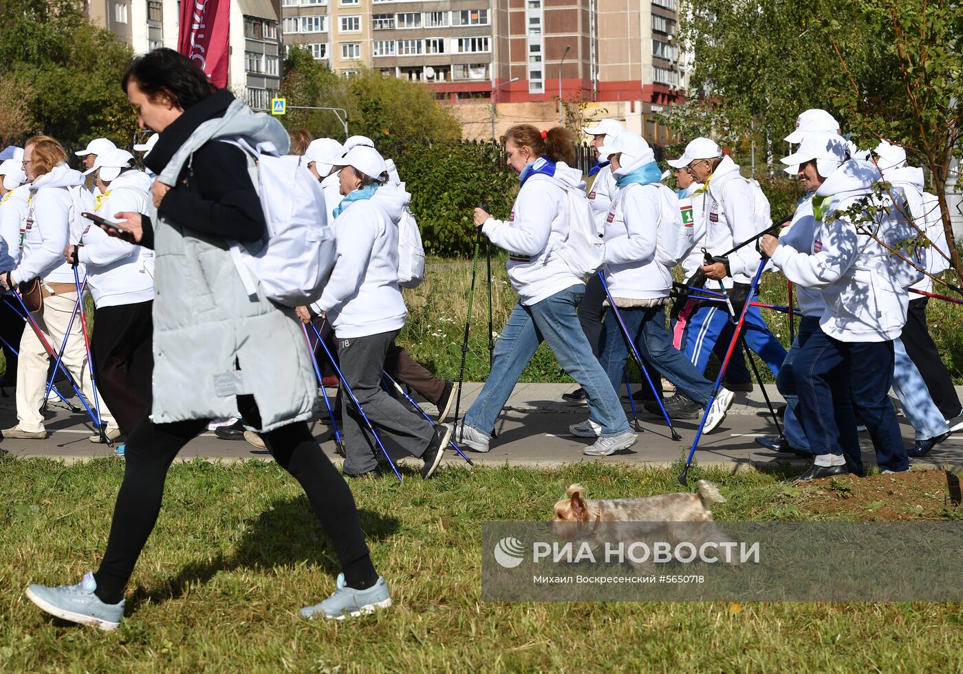 Марафон по скандинавской ходьбе среди пенсионеров