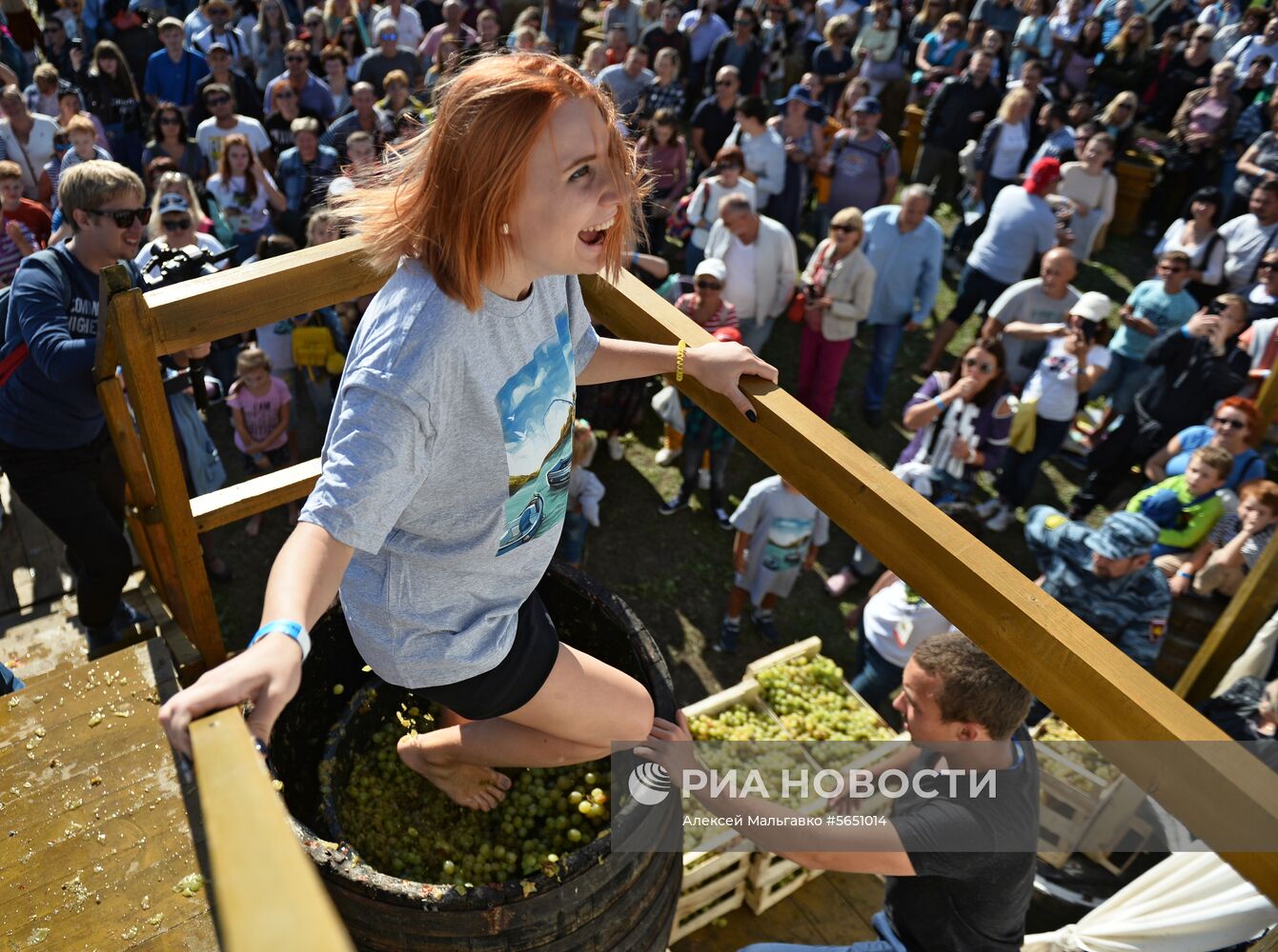 Фестиваль молодого вина «WineFest» в Балаклаве