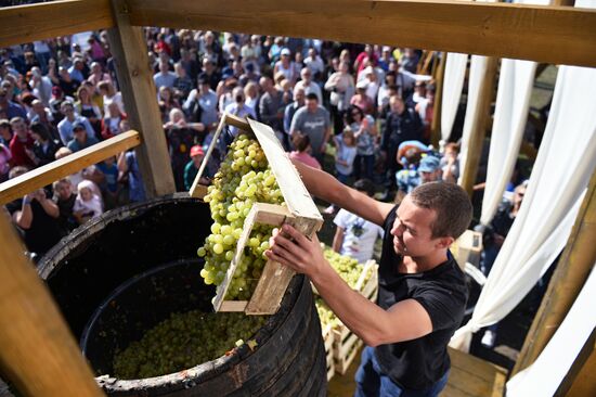 Фестиваль молодого вина «WineFest» в Балаклаве