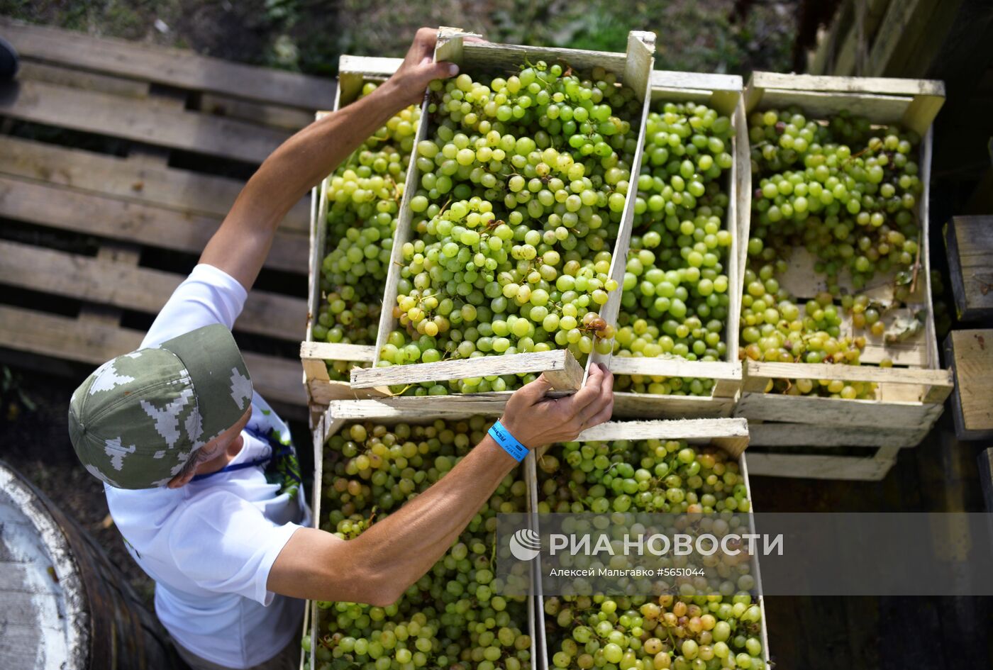 Фестиваль молодого вина «WineFest» в Балаклаве