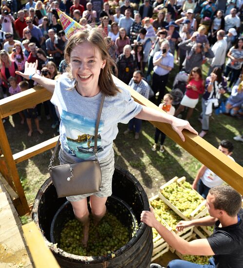 Фестиваль молодого вина «WineFest» в Балаклаве