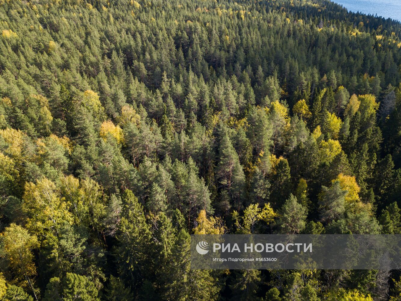 Заказник "Заозерский" в Карелии 