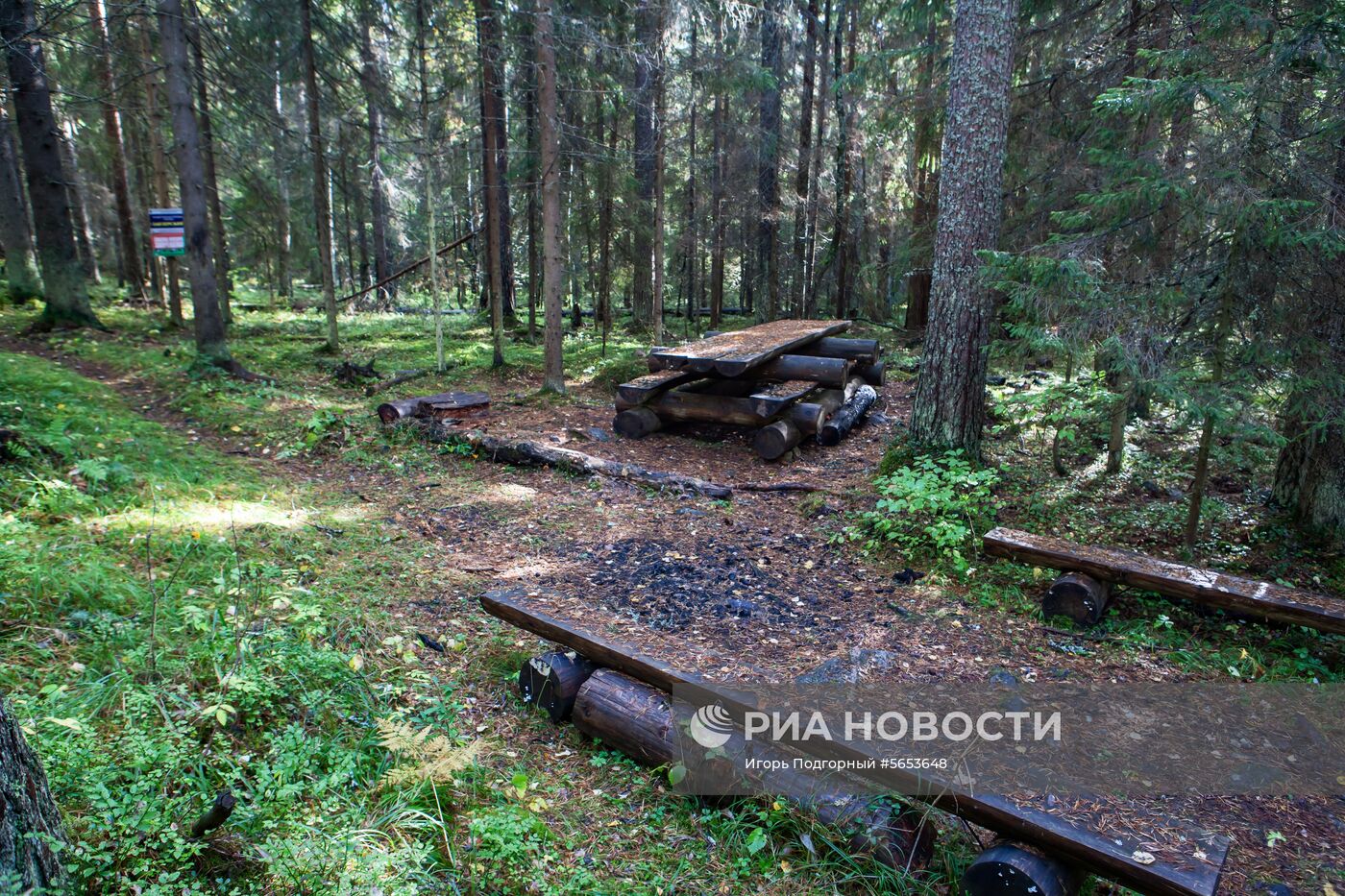 Заказник "Заозерский" в Карелии 