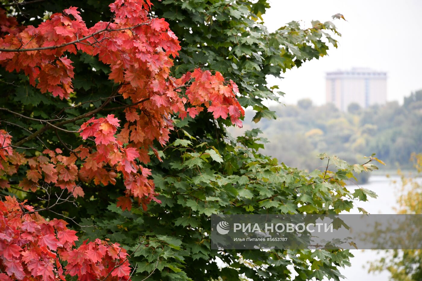 Осень в Москве