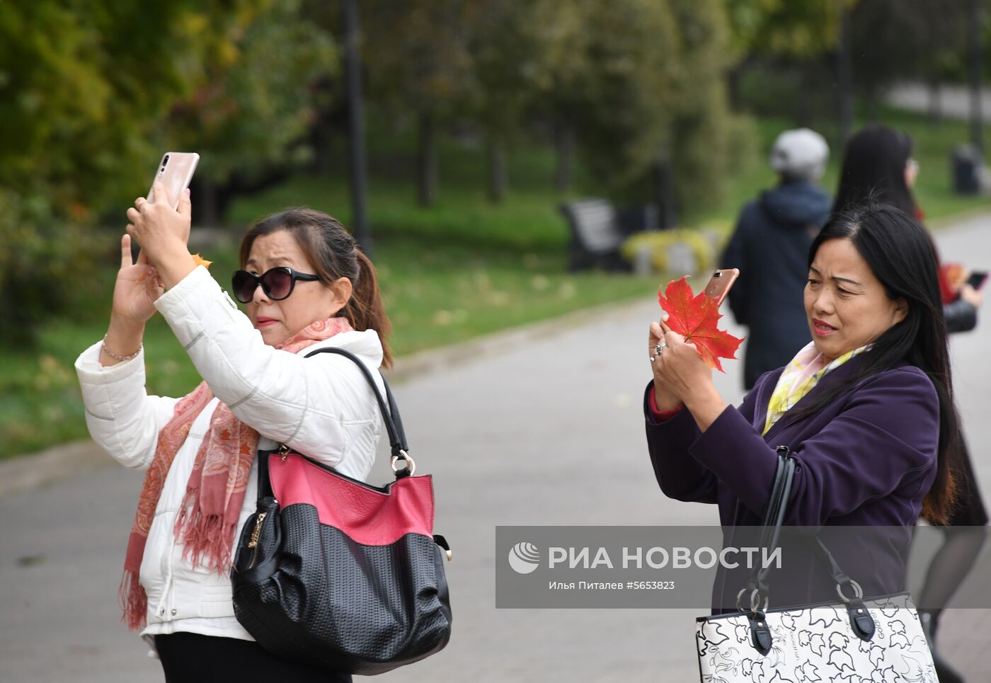 Осень в Москве