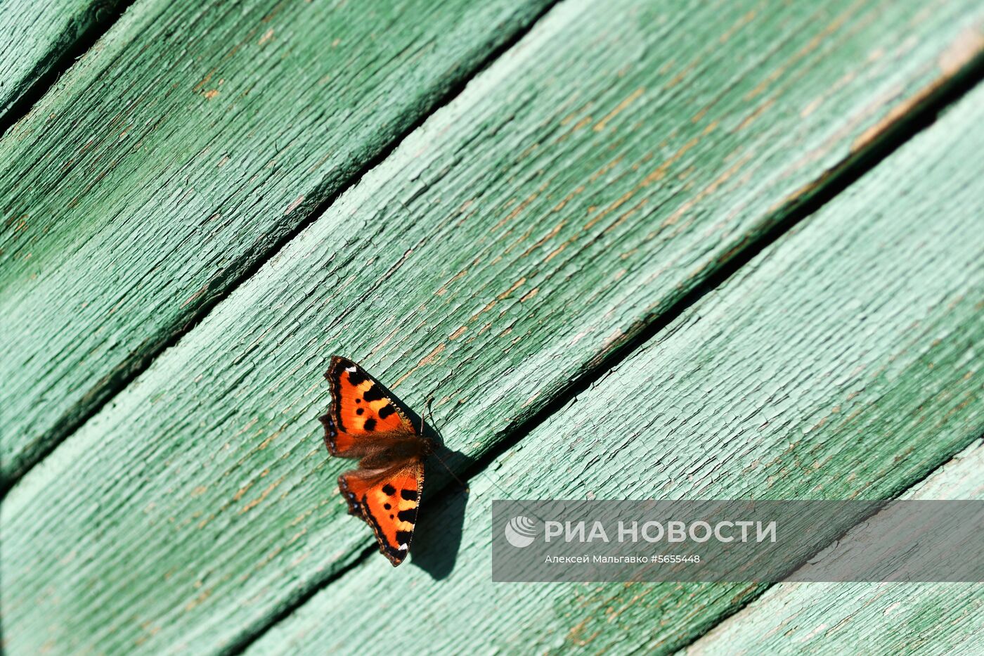 Осень в Омской области