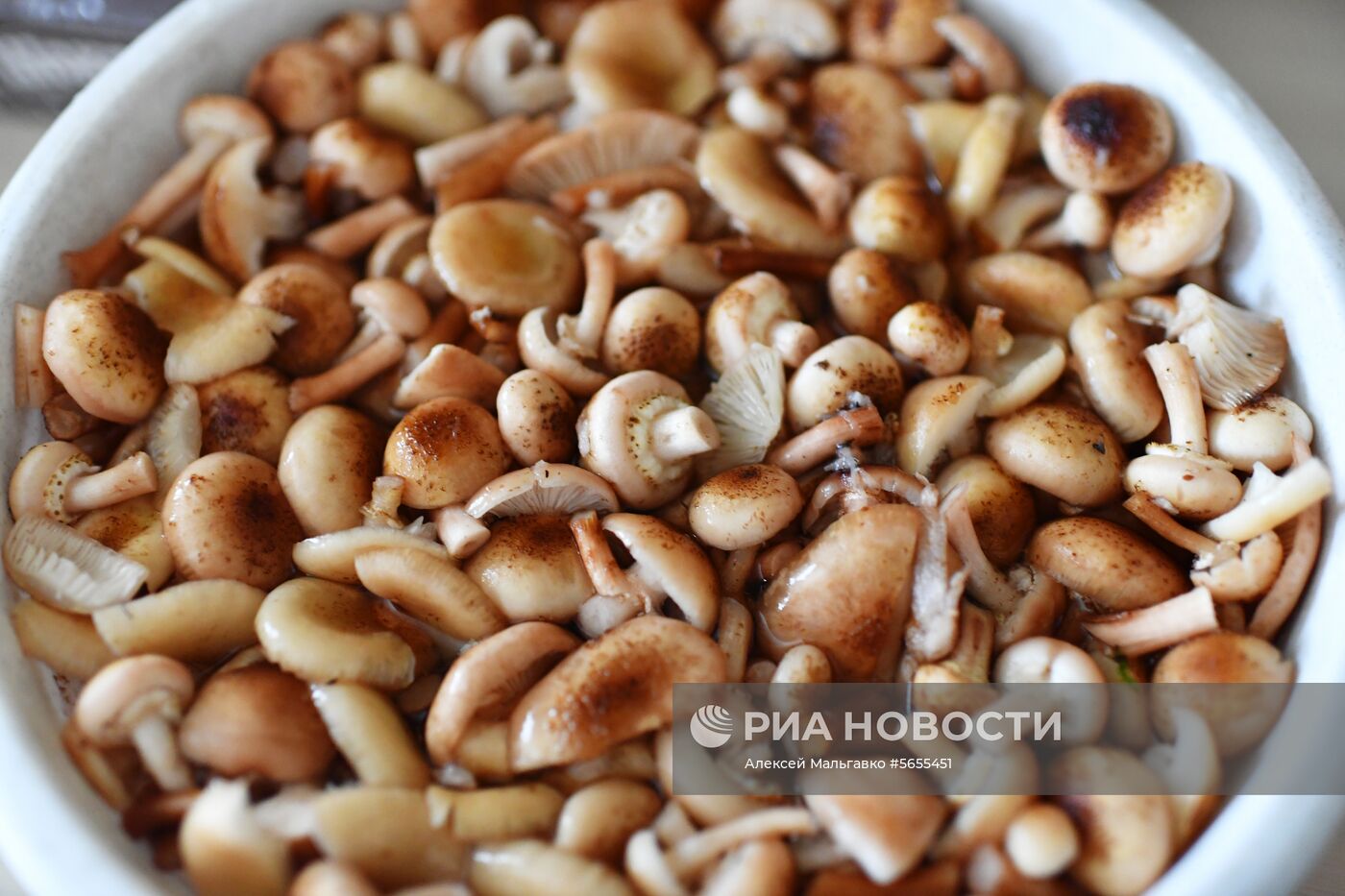 Осень в Омской области