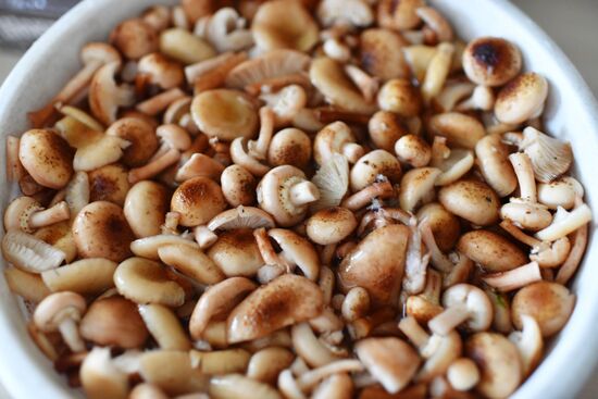 Осень в Омской области