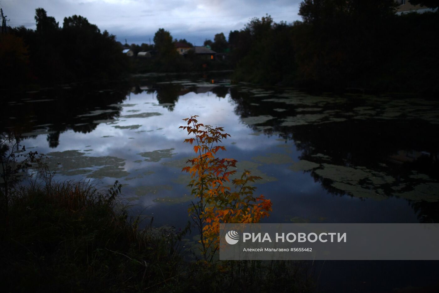 Осень в Омской области