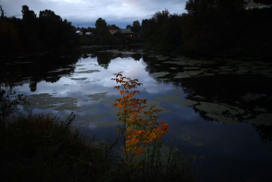 Осень в Омской области