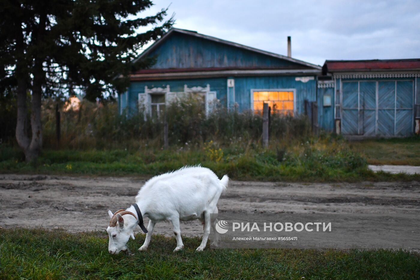 Осень в Омской области