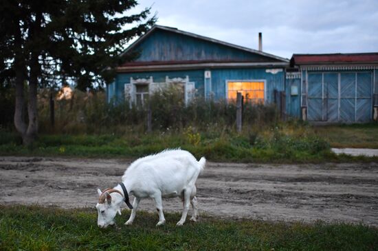 Осень в Омской области