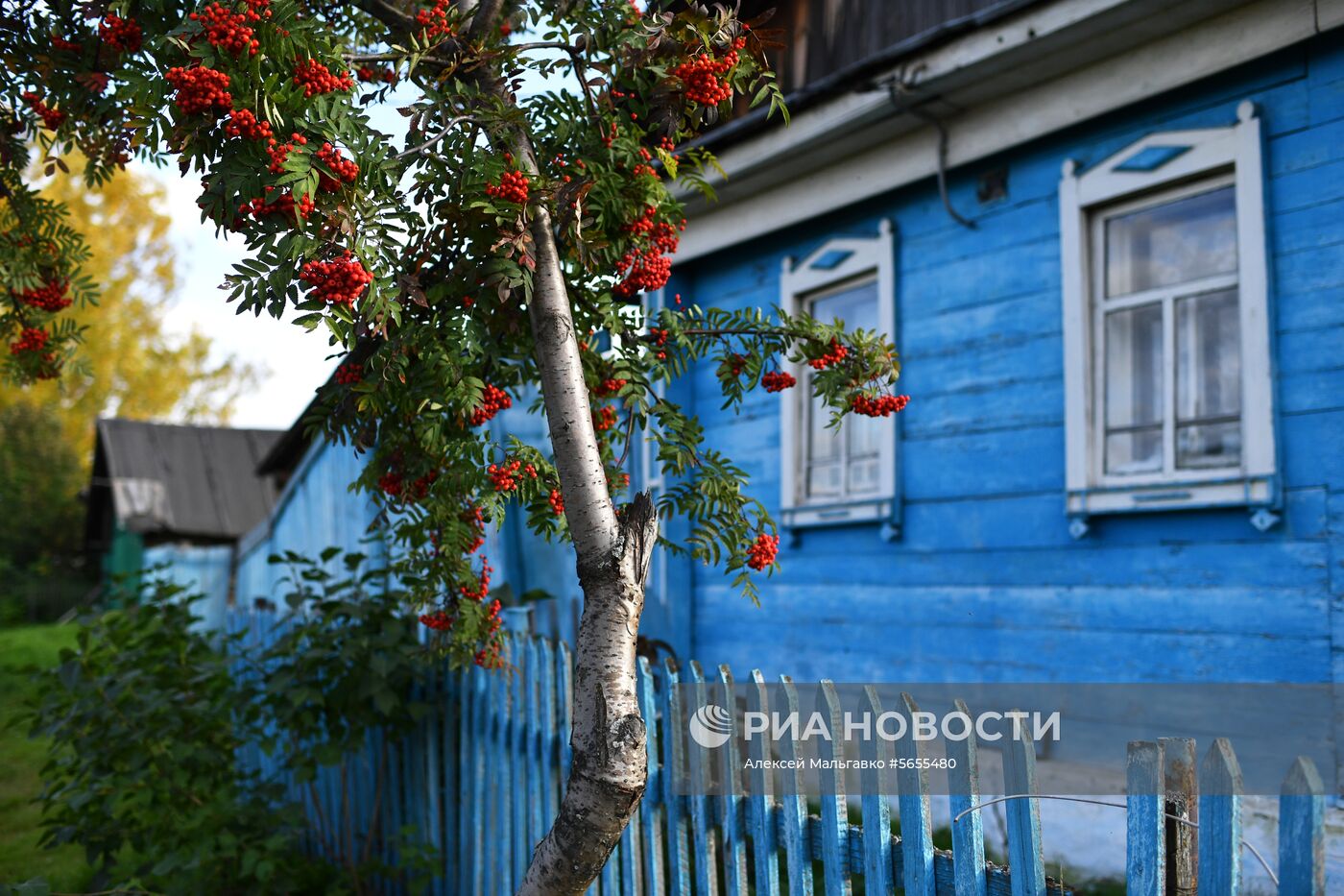 Осень в Омской области