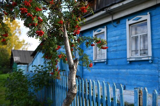 Осень в Омской области