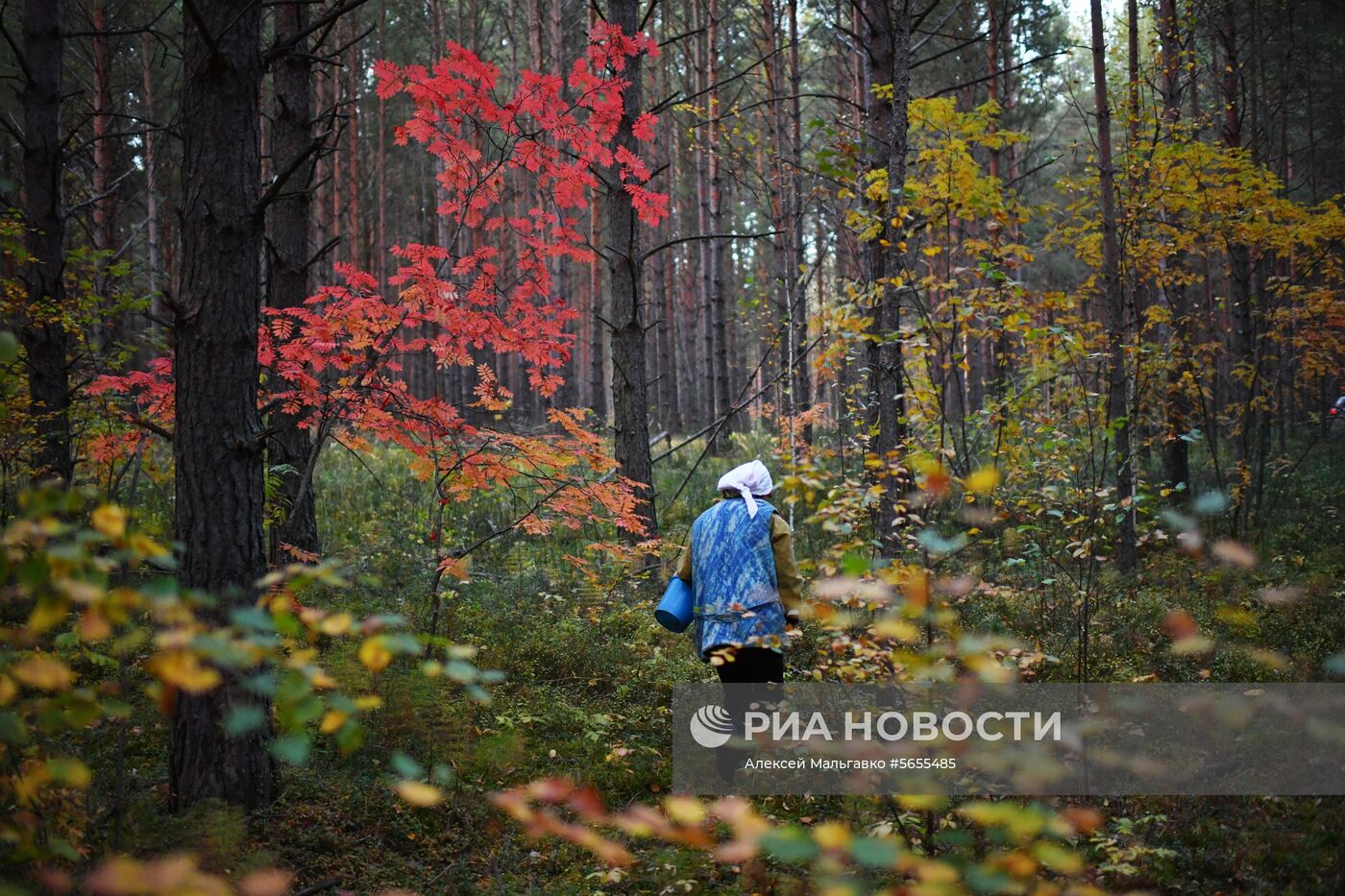 Осень в Омской области